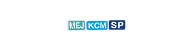 MEJ, KCM, SP 라인업 분류 마크